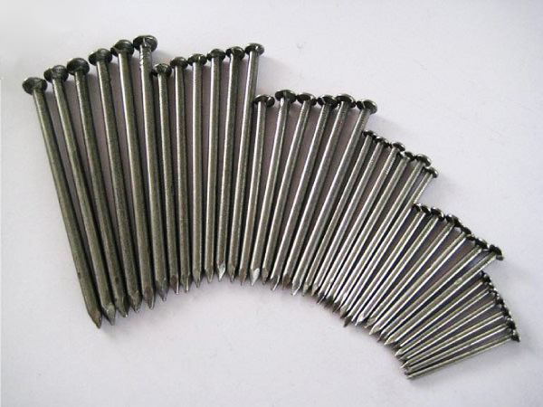 Common Nails
